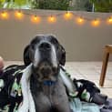 Photo of Ralf