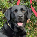 Photo of Raz