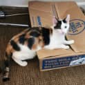 Photo of Twyla