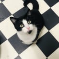 Photo of Gunther