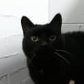 Photo of Sally
