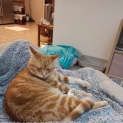 Photo of Harry (Sunny)