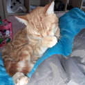 Photo of Harry (Sunny)