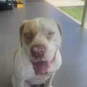 Photo of Lola