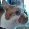 Photo of Mario
