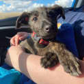 Photo of Twinky