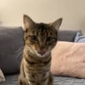 Photo of Jess