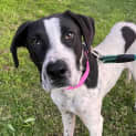 Photo of Rosie