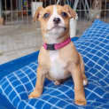Photo of Salsa