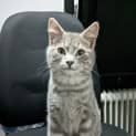 Photo of Gandalf The Grey ( Was Mars )
