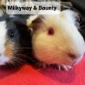 Photo of Milkyway & Bounty