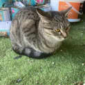 Photo of Matilda
