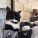 Photo of Meg