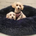 Photo of Klara / Reece
