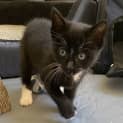 Photo of Axle