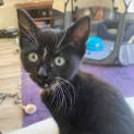 Photo of Axle