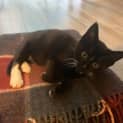 Photo of Axle