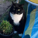 Photo of Jelly Bean