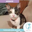 Photo of Minnie