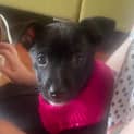 Photo of Betty