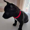 Photo of Betty