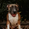 Photo of Cash
