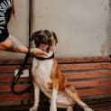 Photo of Cash