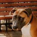 Photo of Cash
