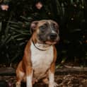 Photo of Cash