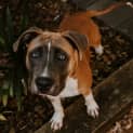 Photo of Cash