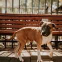 Photo of Cash