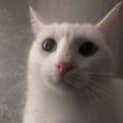 Photo of Casper