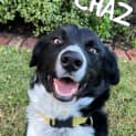 Photo of Chaz