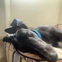 Photo of Ben