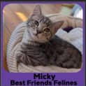 Photo of Micky