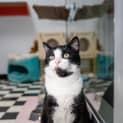Photo of Gunther