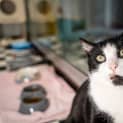Photo of Gunther