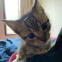 Photo of Lucky