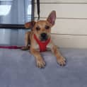 Photo of Dudley