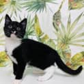 Photo of Lizzy Located In Northcote
