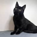 Photo of Wally Located In Preston