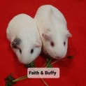 Photo of Faith & Buffy