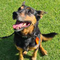Photo of Max
