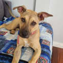 Photo of Pippa