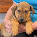 Photo of Percy