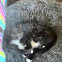 Photo of Moe