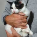Photo of Turbo