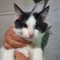 Photo of Turbo