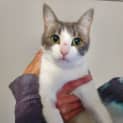 Photo of Frankie