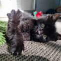 Photo of Peggy